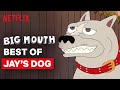 Best of Pitbull ft. Ludacris | Big Mouth | Netflix