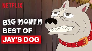 Best of Pitbull ft. Ludacris | Big Mouth | Netflix