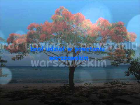 Andrzej Szczypiorski - biografia