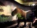 Dinossauro