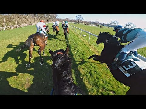 Horse racing | Bratislava | 3. Category - 1600 M | Valorous Influence | GOPRO