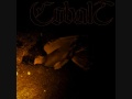 Cobalt Ulcerism 