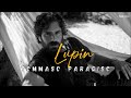 LUPIN - Tommaso Paradiso  (Lyrics/Testo)