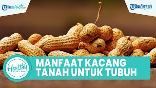 Manfaat Kacang Tanah Baik untuk Kesehatan Otak, Inilah Sederet Makanan Bagus Dikonsumsi