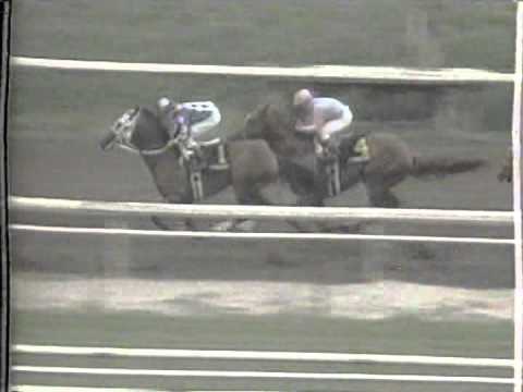 1988 San Bernardino H. -- Alysheba Ferdinand GoodTaste