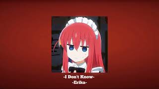 Cover art for I Don't Know - Erika (speed up & reverb)