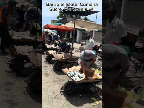 🇻🇪 Una mañana en el mercado municipal de CUMANA, Venezuela #virtualtour #cumana #sucre #venezuela