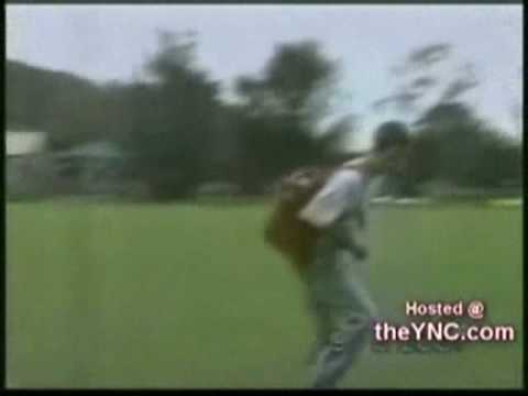 Ein Vogel wollte Hochzeit feiern - Die Vogelhochzeit