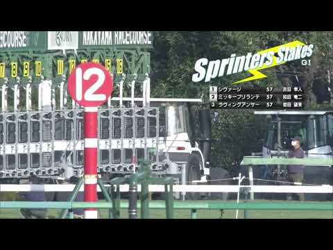 ピクシーナイト牡3 2021/10/3 G1スプリンターズ　中山芝1200m