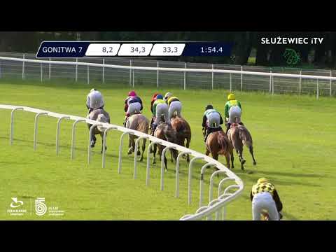 22.08.2021 (D29; G7; Tor: 3,3; 20°C) Sheikh Zayed Sultan Al Nahyan - Nagroda Europy - G3 PA (kat.A)