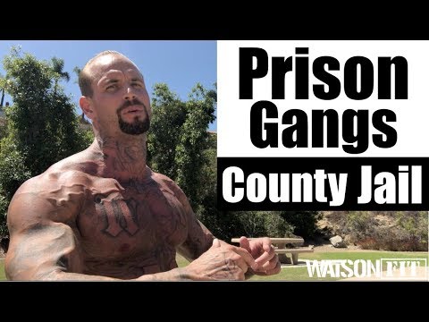 Prison Gangs- County Jail