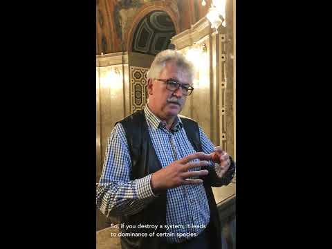 Prof. Josef Settele (UFZ Leipzig) on Biodiversity