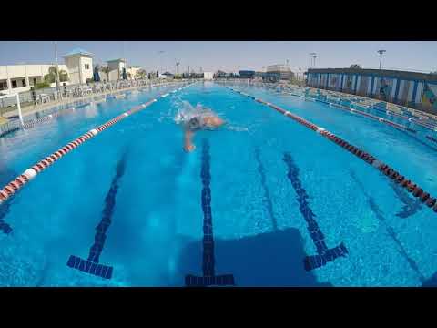 Freestyle Paces | The Different speeds and styles to swim Freestyle