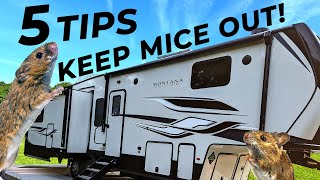5 Tips to Keep Mice Out of Your RV