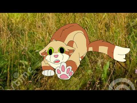 Why Sandstorm REALLY fell in love with Firestar/ firestar doesn't like waffels? meme Shitpost