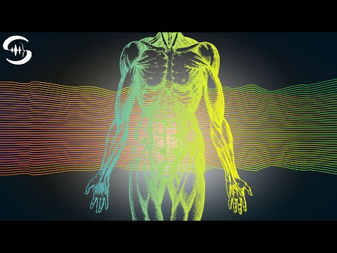 Entgiftung Frequenz - Giftstoffe ausscheiden - Schmerzlinderung (2.5 Hz) ♫64