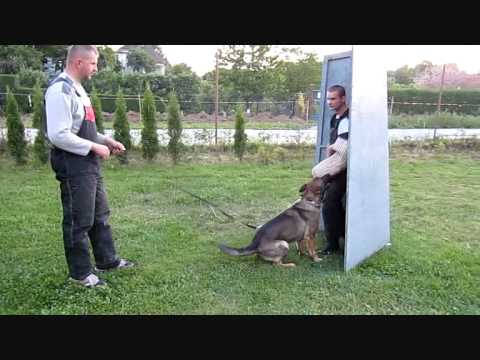 Petr Polián - Dixi Aykmar