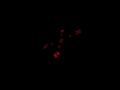 Susam Sokağı Theme Suzz Remake