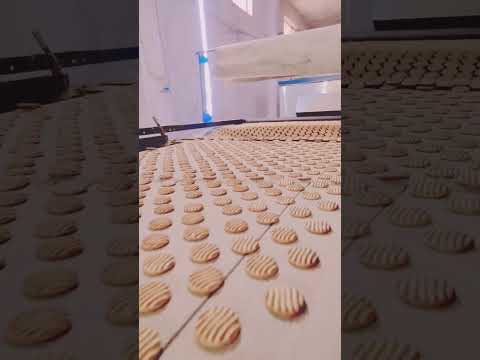 #lovesong #lovesongs #faktaunik ❤️❤️🍪🍪🍪🍪🍪🥀🥀💯💯