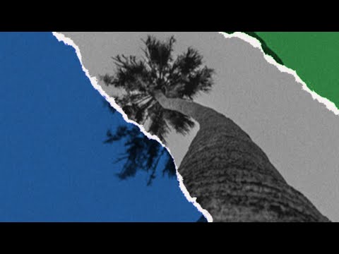 E Carter - "4 Da Dawgs Dem" [ VLOG ] Ep 2.