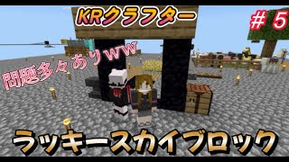 KRクラフター【ラッキースカイブロック編】＃５