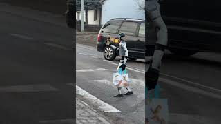 Wideo