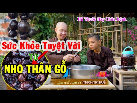 Công dụng trái NHO THÂN GỖ