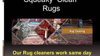 Professional Rug Steam Cleaning is Important