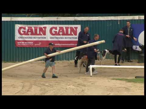 Bockos Doomie - Henlow Puppy Derby Final