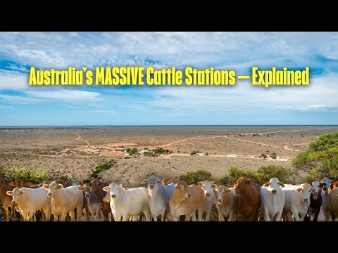 Why Australia’s Cattle Farms Are Bigger Than European Countries