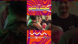 Download lagu LUKAKU - SISKA VALENTINA | NEW PALLAPA & RAMAYANA AUDIO #coklat_videography mp3