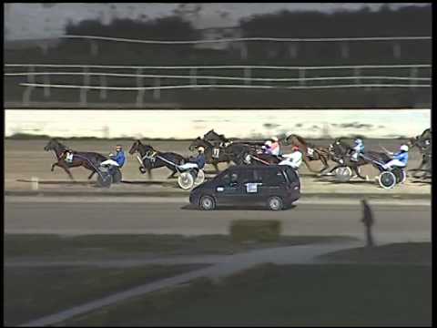 Trotto 30/12/2014 - 4° corsa