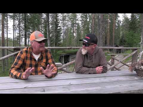 korpimakasiini7 2025