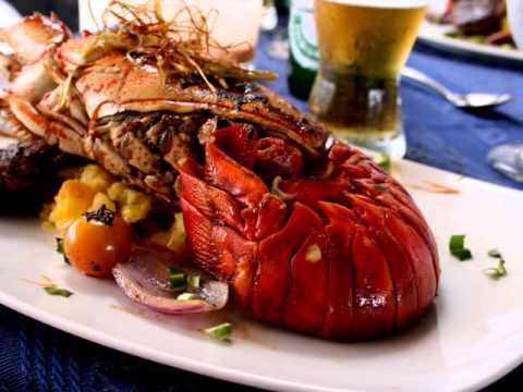 Watch lagu Images Videos Celebrity Homes New Orleans, Watch Images Celebrity Homes New Orleans free Watchn, video klip Celebrity Homes New Orleans