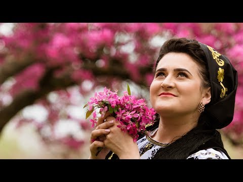 Alexandra Bleaje Colaj melodii NOI ”Ana fata de la munte„