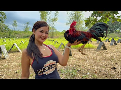 Bagong Materyales sa aking Breeding || Claret & Gull