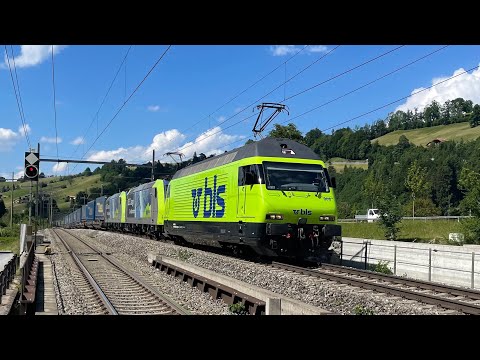 (4K) Swiss Trains at Mülenen