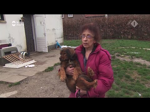 De Rijdende Rechter 24-09-2019 - De gebeten hond