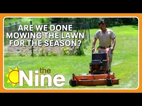 When to stop mowing your lawn for the season | The Nine