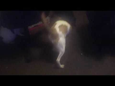 85 Subscribers Special