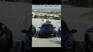 Pure Porsche Wonderland😍 #porsche #trending #car