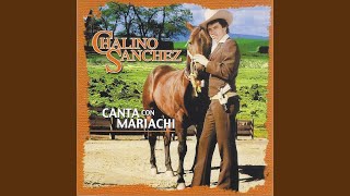 Barquito de Siete Velas