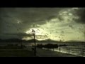 Kwoon - Bird 
