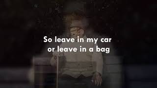 Boston Manor - Wolf (Lyrics)