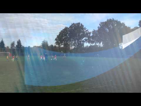 Rhode F1 - Blauw Geel F1