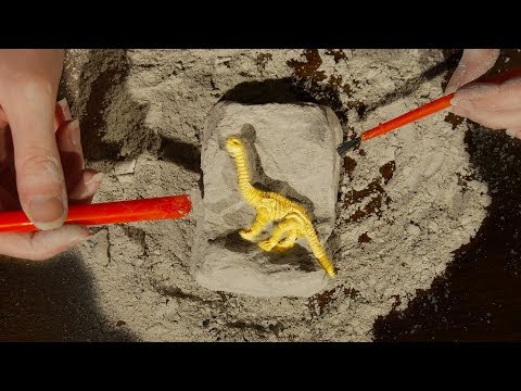 ASMR 1+ Hour Dinosaur Excavation For Relaxation | (4K)