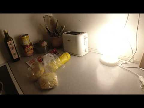 MongoTV_10725 - LIDL og IRMA Haul 242 Kroner - BLANDET MAD - Kødboller i Ris og  Karry