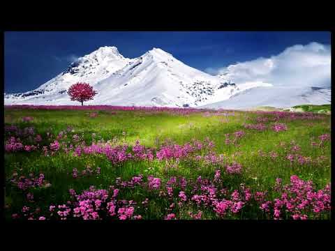 Harpa Cristã 66. PRONTO A SALVAR Playback/Videokê