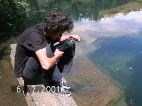 rainbowwitch - angelsinner (kodyak x drip-133 Instrumental)