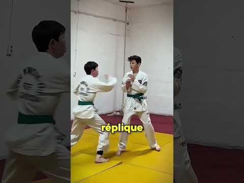 Un Parfait Coup de Pied Tornado ! 🥋👊